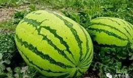 56吃瓜网 吃瓜爆料大事件真相,吃瓜爆料大事件真相全解析